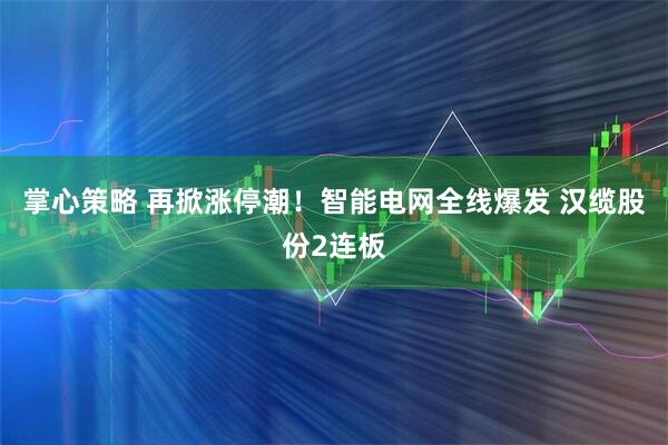 掌心策略 再掀涨停潮！智能电网全线爆发 汉缆股份2连板