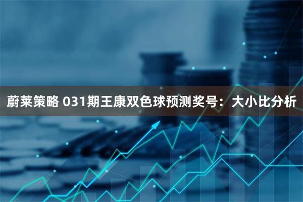 蔚莱策略 031期王康双色球预测奖号：大小比分析