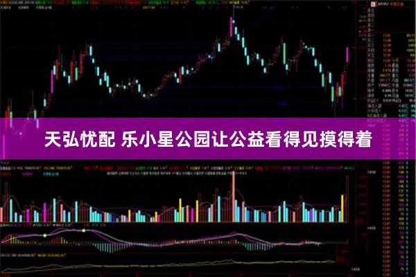天弘忧配 乐小星公园让公益看得见摸得着