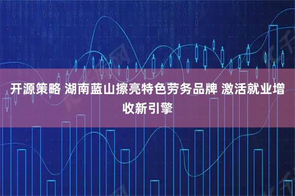 开源策略 湖南蓝山擦亮特色劳务品牌 激活就业增收新引擎