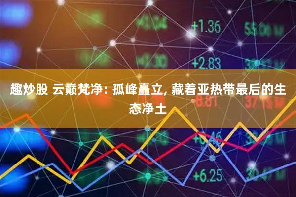 趣炒股 云巅梵净: 孤峰矗立, 藏着亚热带最后的生态净土